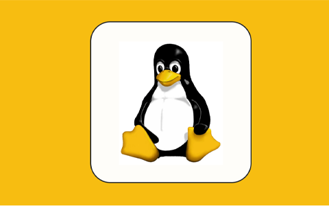 Linux操作系统入门